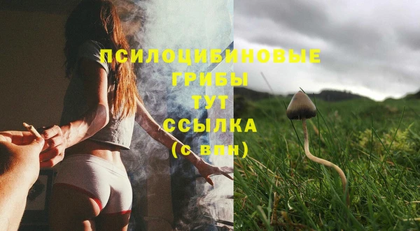 молекула духа Новозыбков