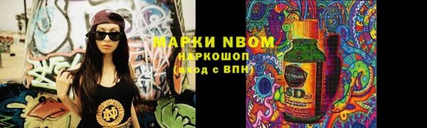 молекула духа Новозыбков