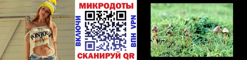 Псилоцибиновые грибы MAGIC MUSHROOMS  Шарья 